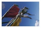 Prayer Flags are Ravaged by the Wind in the Nyele La Pass, Bhutan World Cultures Photographic Poster Print by Bobby Model, 40x30