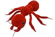 Giant Microbes - Red Ant (Solenopsis invicta) Educational Plush Toy