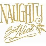 Naughty But Nice Adult T-Shirt