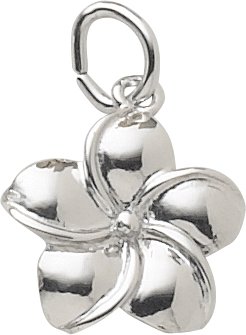 Childrens Toyshop  Jewelry : Plumeria Flower Charm by Rembrandt Charms