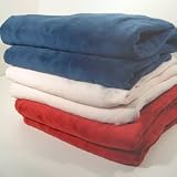 Sunbeam Microplush Warming Throw Sage