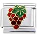 Wine Grapes Italian Charm