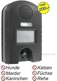 Ultraschall Vertreiber mit Bewegungsmelder & BLITZ - Marderabwehr, Katzenabwehr und Waschbärenabwehr -Gerät