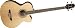 Takamine G Series EGB2S-N Acoustic Electric Bass Guitar, Natural