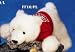 Floppy Family 10" Polar Bear
