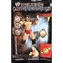 WWE Deluxe Aggression 19 Chris Jericho
