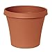 Bloem Terra Pot Planter: 12
