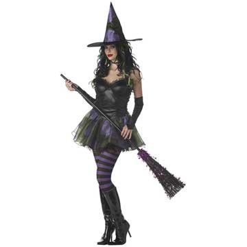 Wicked Witch Of The West Sexy Holiday Party Costume