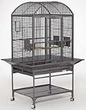 Midwest® Avian Adventures Chiquita Bird Cage, Play Top, Platinum