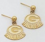 Green Bay Packers Logo Earrings - M939 - B0002TQBIO