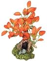 Bonsai Orange Leaves, Small
