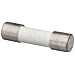 AEMC 2118.83 Fuse Set for Power Supply Models AX501 to AX503, 10A, 250V (Pack of 5)