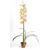 Cymbididium w / Moss Pot Silk Orchid Plant - Yellow - B000I6JJE4