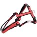 Dog Gone Smart Harness, 5/8" x 12-20", Navy/Red