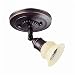 DVI DVP9781 Buenos Aires Directional Spot Light