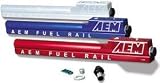 AEM Fuel Rail for 1994 - 2001 Acura Integra