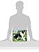 Just Border Collies 2015 Wall Calendar