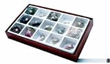 15 - Piece General Fossil Collection - B000F8T7S8