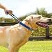 Pet Supplies : Bamboo Quick Control Collar - Black - Medium (14"-18")