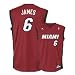 Miami Heat Lebron James Men's Red NBA Replica Jersey, Large