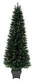 Charm Tree Bristol Porch Tree (CPBTR-841745SG4)