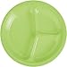 Celery Plastic Divided Dinner Plate 20 Count Celery Plastic Divided Dinner Plate 20 Count