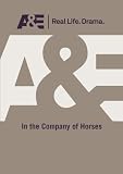 A&E Television Networks 
