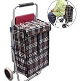 Rolling Shopping Cart with Seat