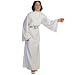 Search : Star Wars Princess Leia Adult