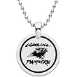 Stainless Steel Carolina Panthers Name Logo Necklace