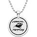 Stainless Steel Carolina Panthers Name Logo Necklace