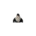 California Costume Collection 33949 Pirate Beard and Moustache - Grey