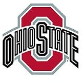 NCAA OSU Ohio State University - 3 Large Wall Accent Stickers