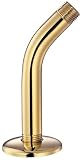 Danze 481136PBV 6-Inch Shower Arm with Flange, Polished Brass