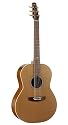 Seagull Artist Mosaic Folk Guitar