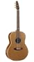 Seagull Artist Mosaic Folk Guitar