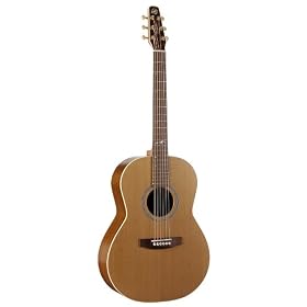 Seagull Artist Mosaic Folk Guitar
