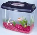 Penn-Plax Small Animal Tank