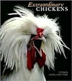 Extraordinary Chickens