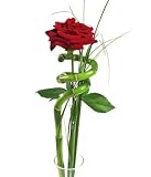 Review Bunches Florapost Ltd.  / Single Red Rose