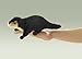 Toys : Folkmanis Mini River Otter Finger Puppet