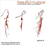 Revue Artistes Divers  / Beautiful Muzique - A Cool & Smooth Electro Pop Compilation