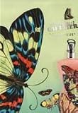 Jean Paul Gaultier Classique Summer Fragrance by Jean Paul Gaultier for Women Summer 2003 Butterfly Edition - 3.3 oz Eau D'ete Parfumee Alcohol-Free Natural Spray