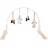 Finn + Emma Organic Cotton Baby Boy Wood Play Gym - Scooter Light
