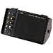 RMS Monitor Amplifier
