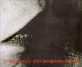 Soft Dangerous Shores