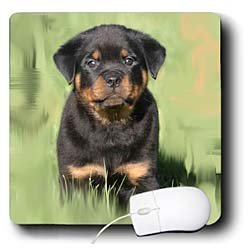image link -  - B002O1LB88