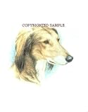 Saluki - Portrait by Cindy Farmer