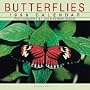 Cal 99 Butterflies