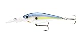 Rapala(ラパラ) ルアー ストーム スマッシュシャッド05 SMS05-612 (ホットブルーシャッド)